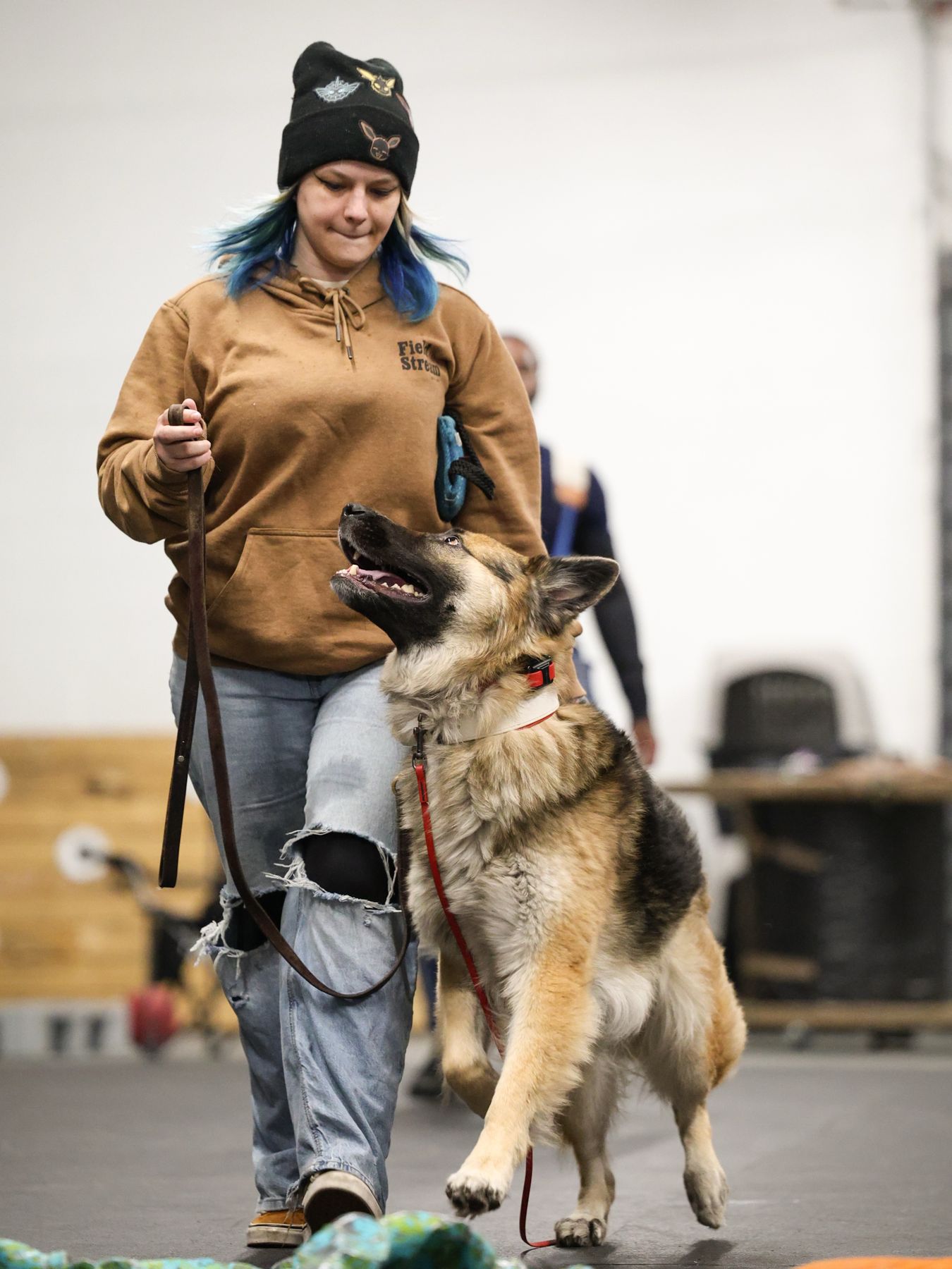 Trainer walking with a German shepherd