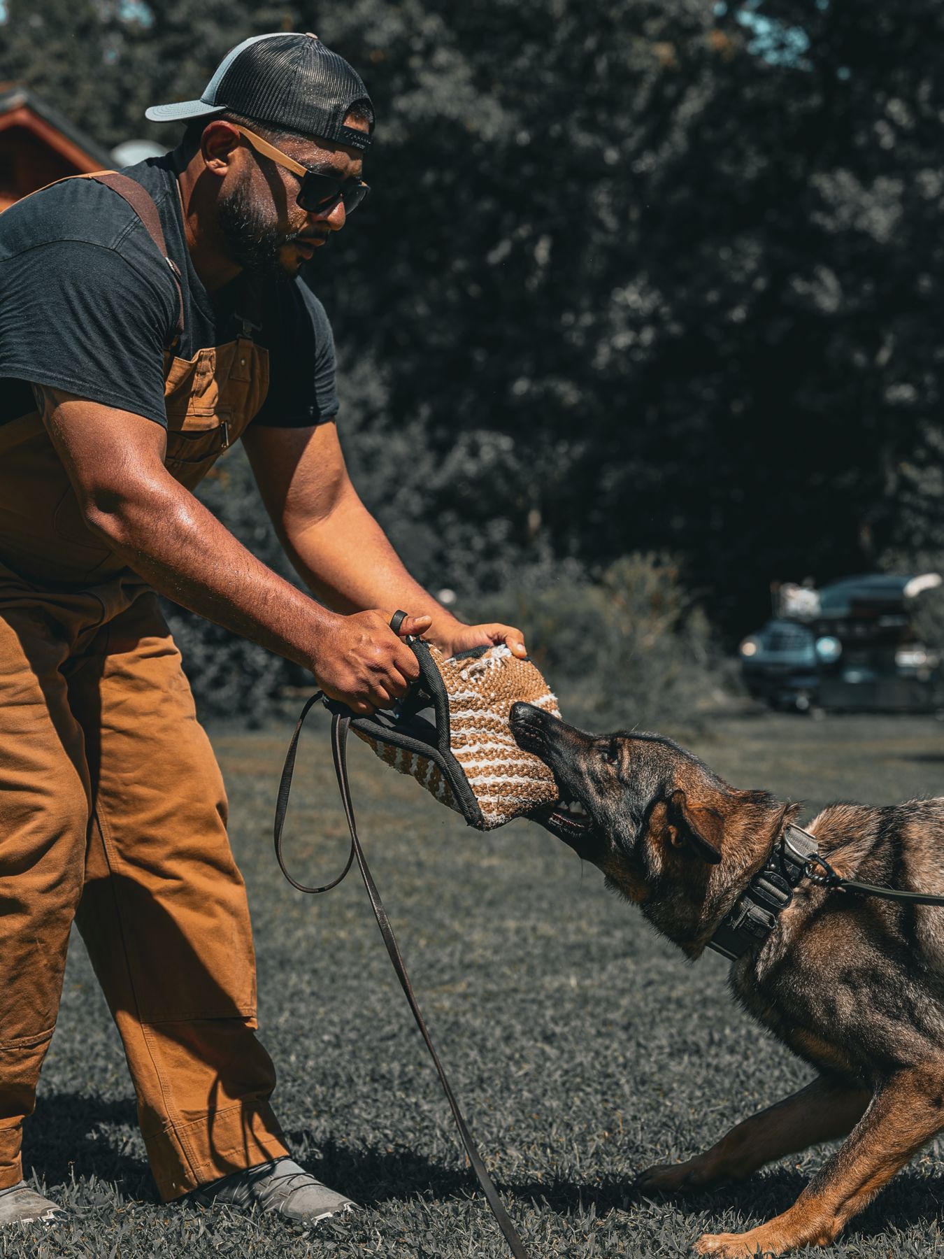 Decoy tugging with a working dog